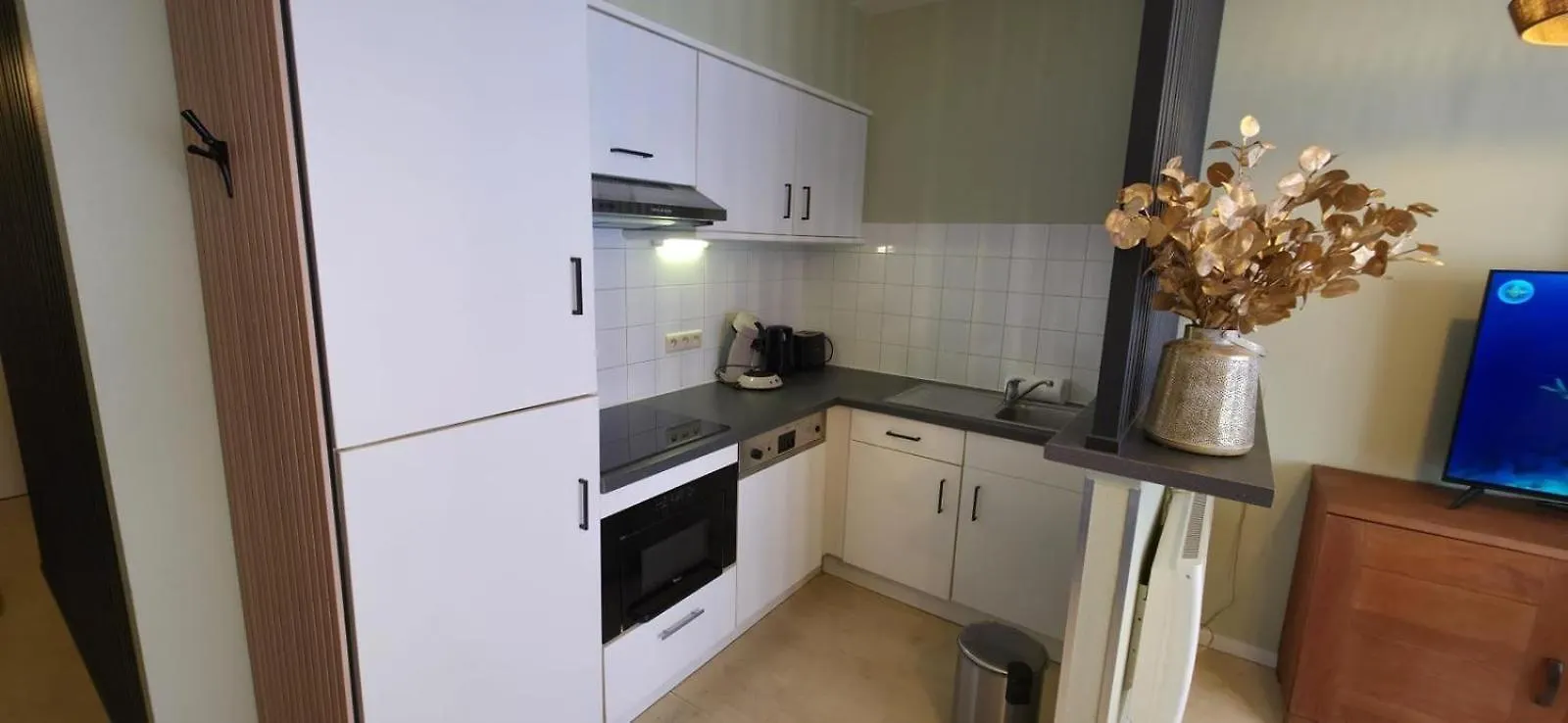 Apartment Cosy City Brussels Belgium